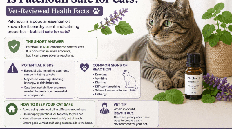 Is Patchouli Safe for Cats