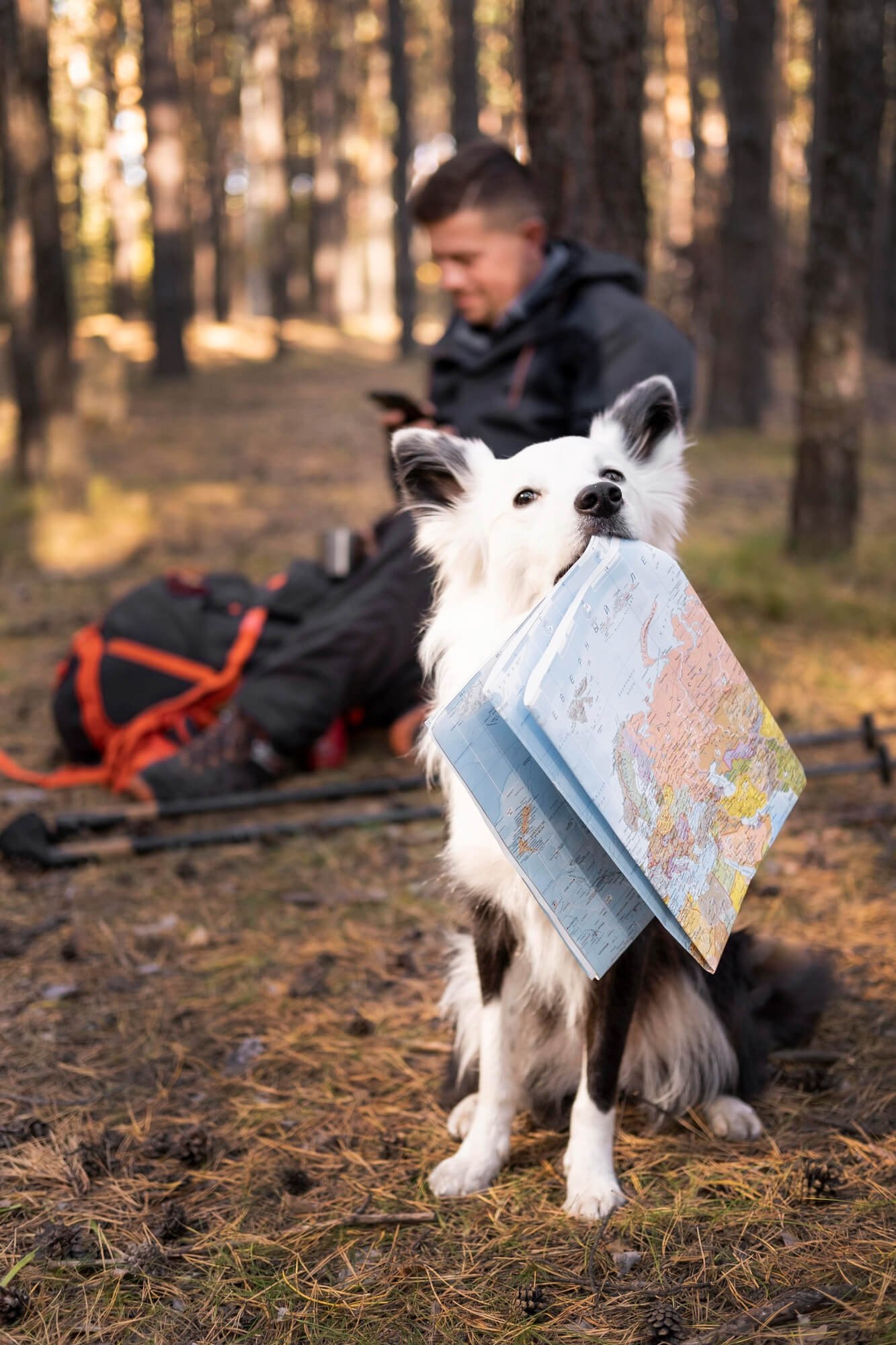 Camping Etiquette for Pets and Their People