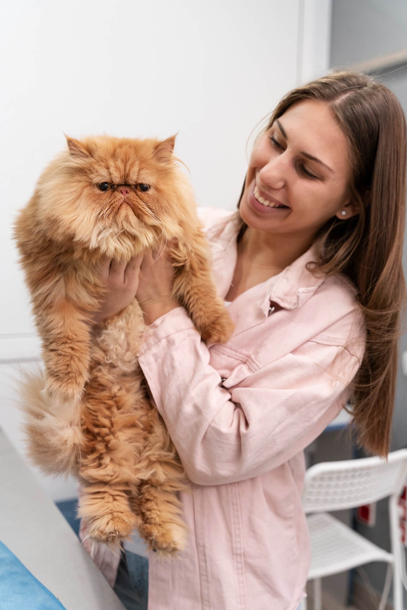 What to Expect From Your Cat’s First Vet Visit: Complete Guide