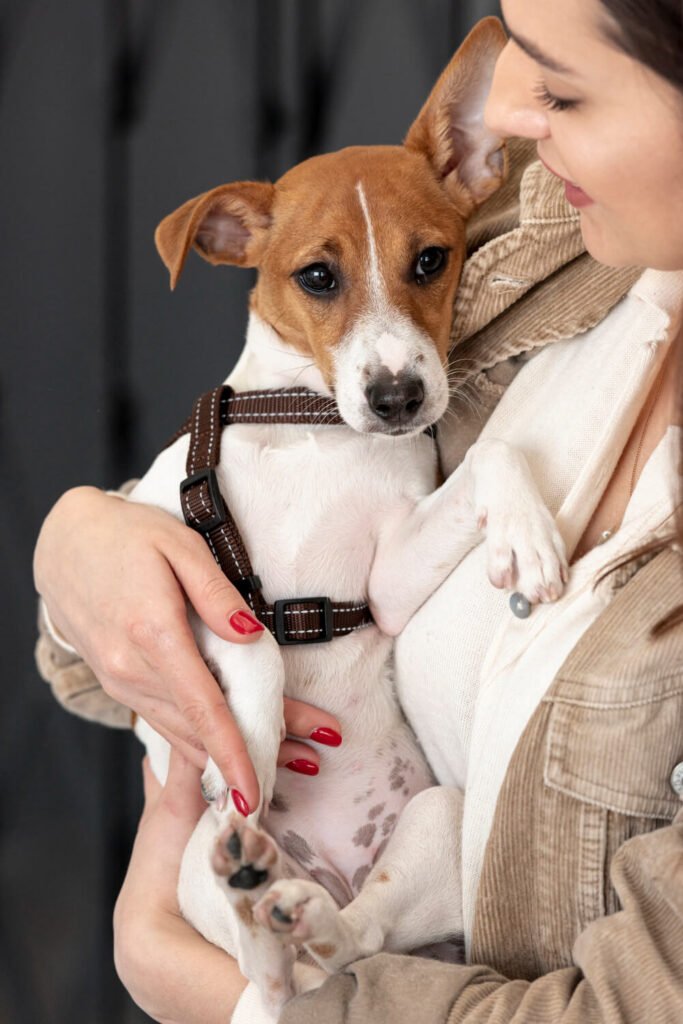 # Canine care, dog grooming, dog health, dog nutrition, dog exercise, dog training, dog bonding, veterinary care, dog food, dog breeds, puppy care, senior dog care, dog walking, dog playtime, dog mental stimulation, dog bathing, dog nails, dog shedding, dog coat care, dog parasites, dog allergies, dog weight management, dog dehydration, dog communication, dog enrichment, dog supplies, dog toys, dog beds, responsible dog ownership, happy dog, healthy dog