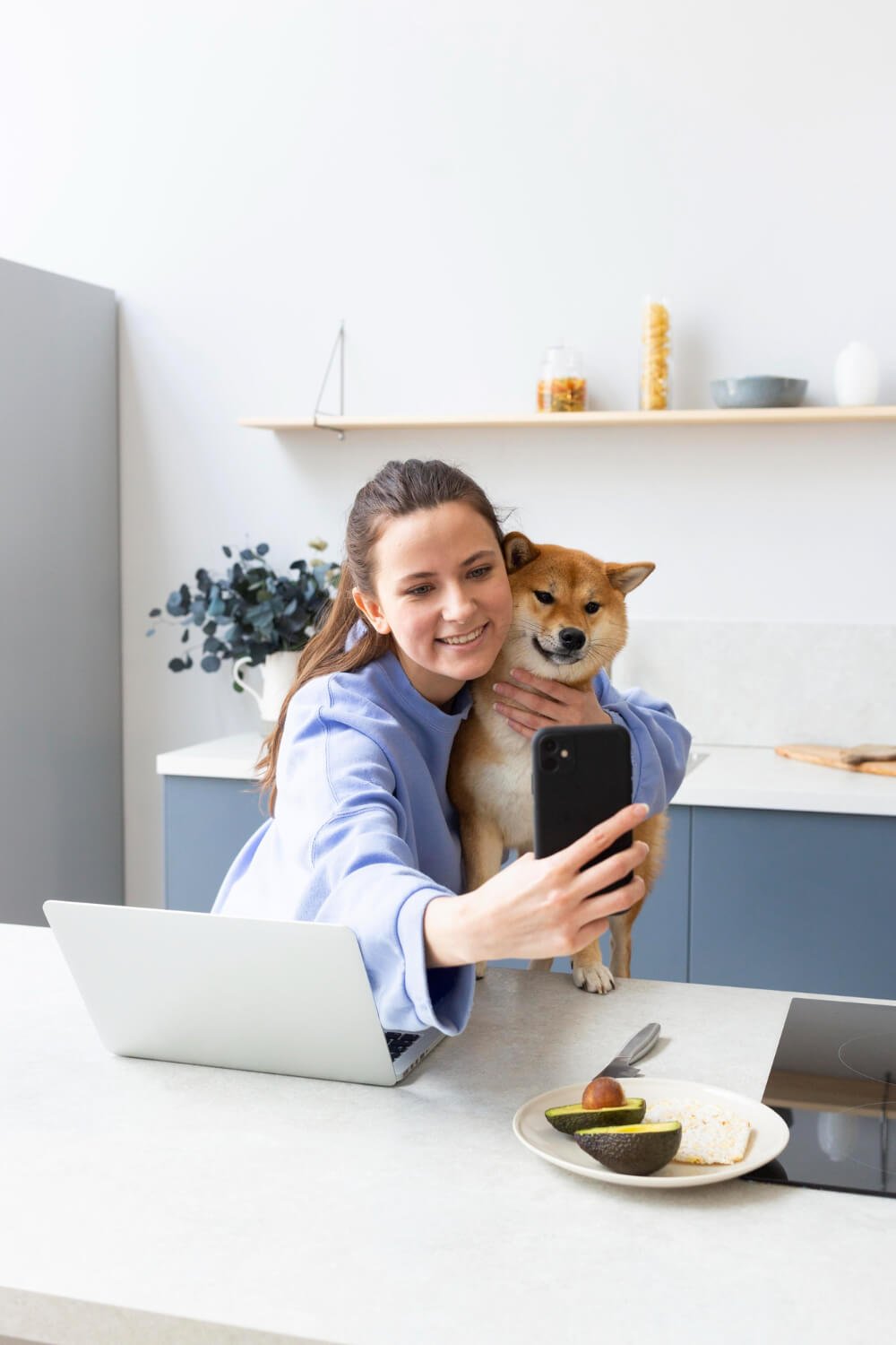 Online Vet Prescriptions: A State-by-State Guide to Convenient Pet Care