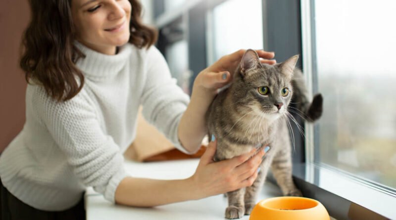 Unlock a Longer Happier Life for Your Pet in 2026!