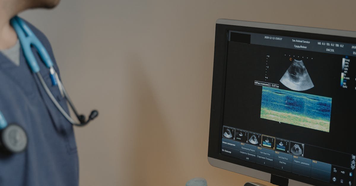 Terramed Acquires Animal Hospital Propels Pet Care Growth